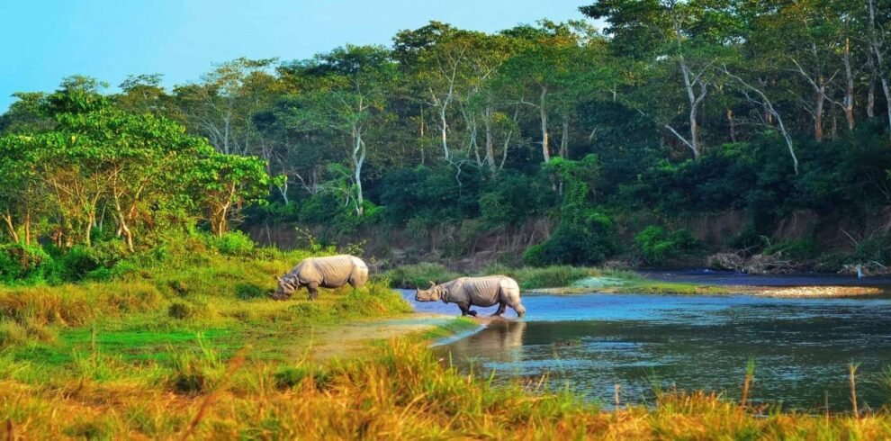 Chitwan National park