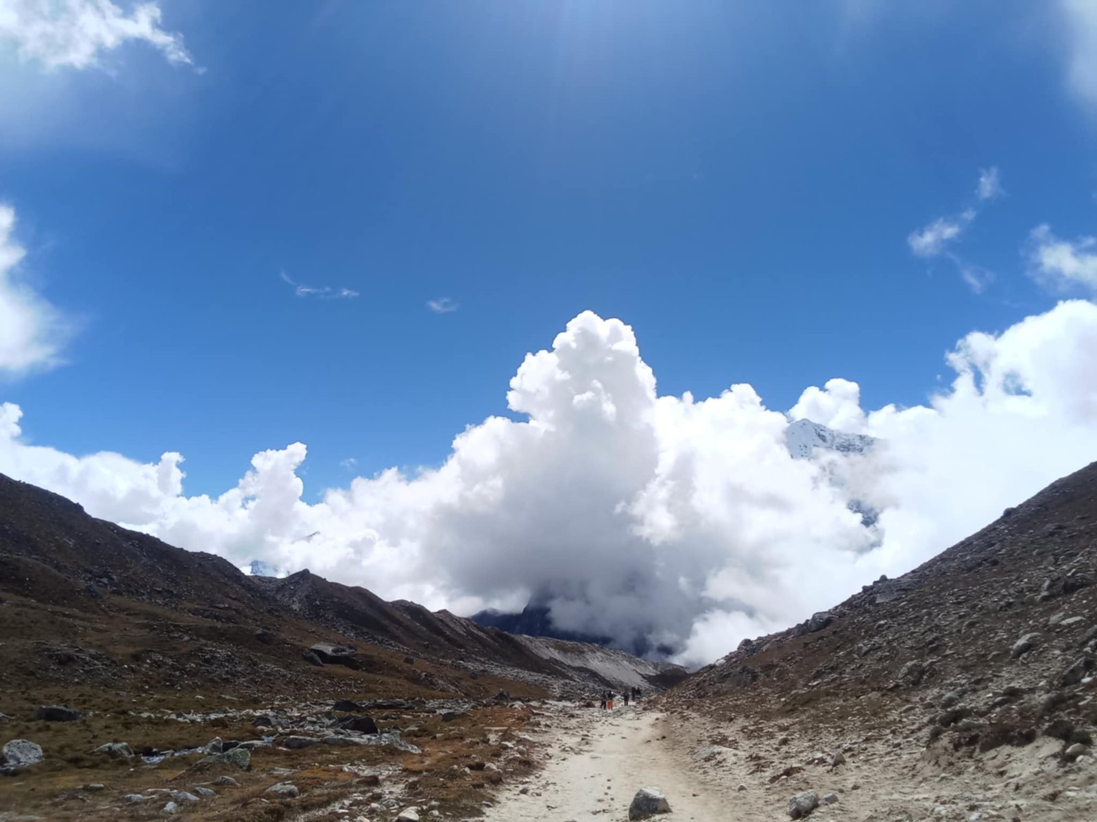 WhatsApp Image 2025-12-05 at 7.36.40 PM (1)